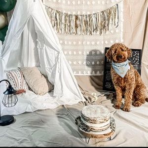 Tan boho pillow cover